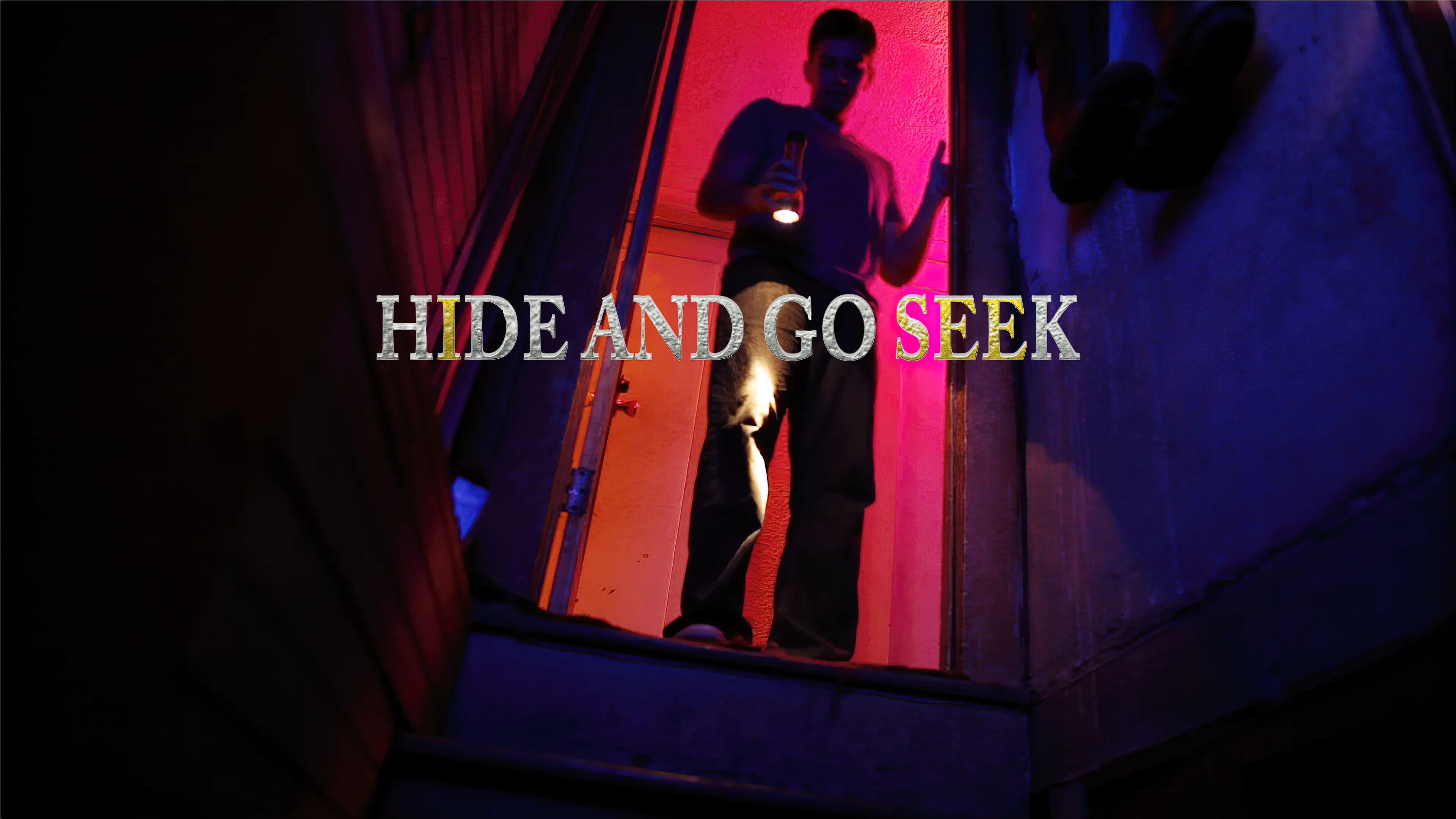 Hide and Go Seek poster